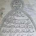 تصویر سید فرهود کاظمی