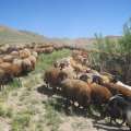 تصویر روابط عمومی منابع طبیعی میانه