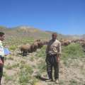 تصویر روابط عمومی منابع طبیعی میانه