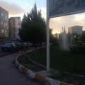 تصویر مهدی حسنی