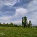 تصویر محمّدرضا نعمتی