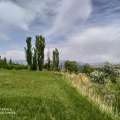 تصویر محمّدرضا نعمتی