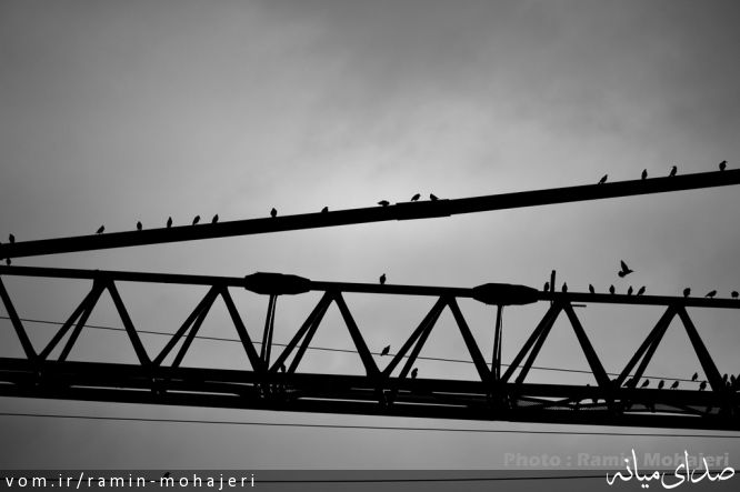 تصویر رامین مهاجری