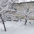 تصویر اخبار سراسری