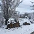 تصویر اخبار سراسری