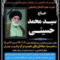 تصویر سید امین شهیدی
