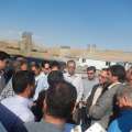 تصویر سید امین شهیدی