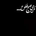 تصویر س جمشیدی