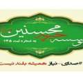 تصویر س جمشیدی