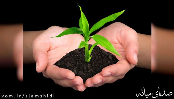 اصطلاحات ترکی در رشته گیاهپزشکی (با تاکید بر واژه های مصطلح در شهرستان میانه)