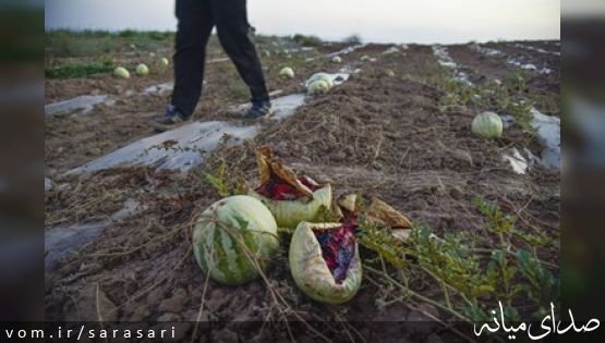 رَجِعین روستای هندوانه ایران ، درگیرِ چالش بزرگ +تصاویر