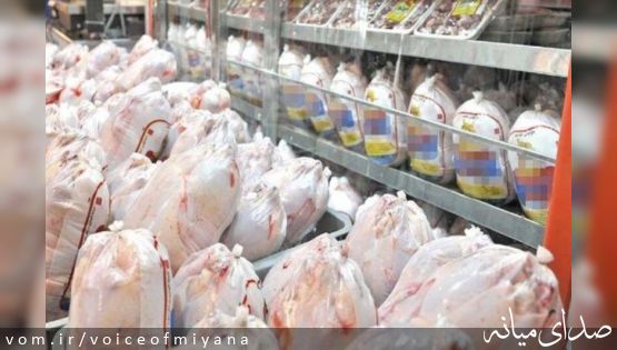 توضیحات اداره صمت میانه درباره علت گرانی مرغ