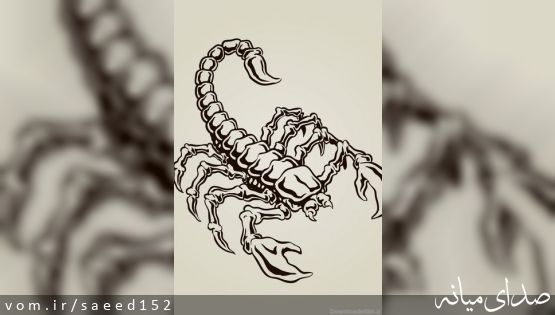 آقای احمدزاده، تو عملاً سخنگو و روابط عمومی آقای اسماعیلی هستی