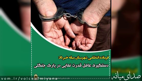 دستگیری عامل قدرت نمایی در پارک جنگلی شهرستان میانه