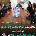 در بازدید اسماعیلی نماینده مردم از کارخانه شیر پگاه تبریز؛ از تامین شیر کارخانه پگاه تا پیگیری احداث گاوداری هزار راسی مولد در میانه