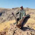 کرکس نجات یافته به آسمان منطقه حفاظت‌شده کاغذکنان برگشت