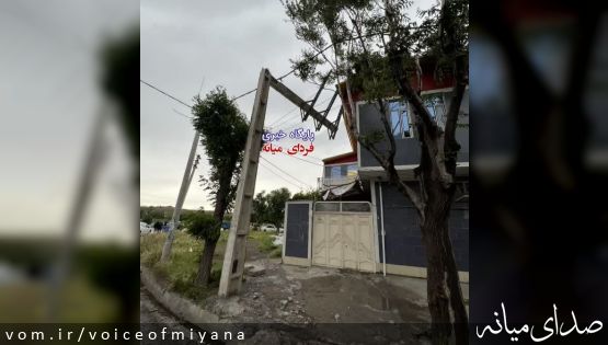 خسارات به برق و درختان به دلیل وزش شدید باد در میانه