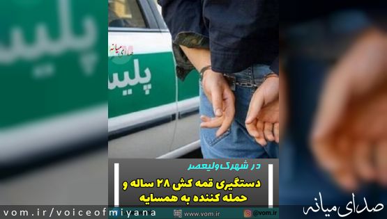 دستگیری عامل قمه‌کشی و ضرب و جرح در شهرک ولیعصر میانه