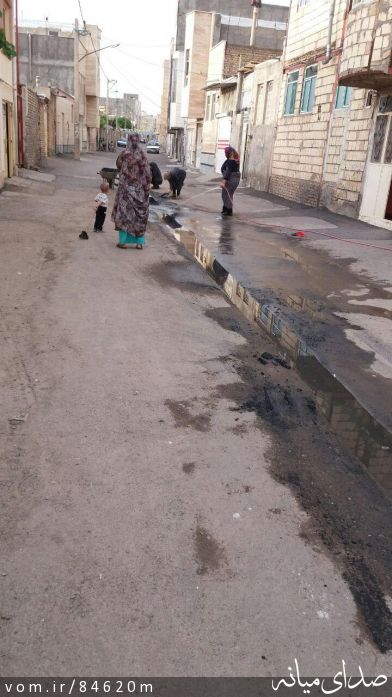 تصویر مرتضی رشیدی