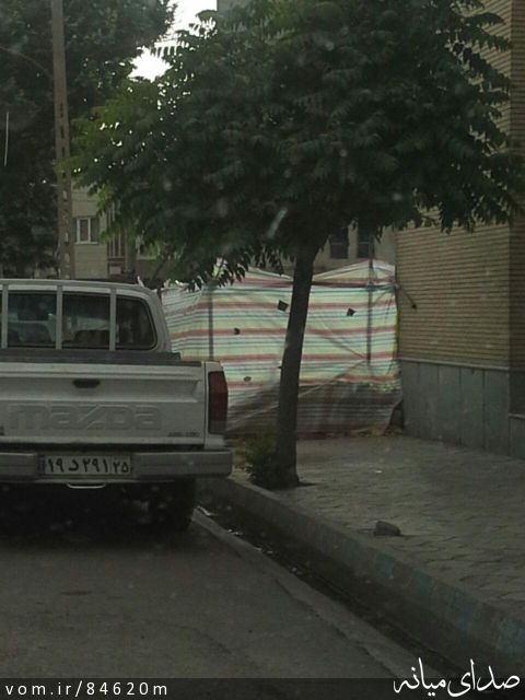 تصویر مرتضی رشیدی
