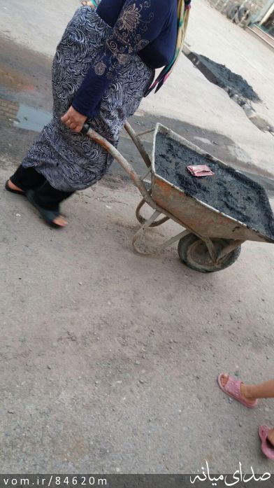 تصویر مرتضی رشیدی