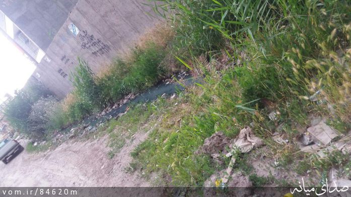 تصویر مرتضی رشیدی