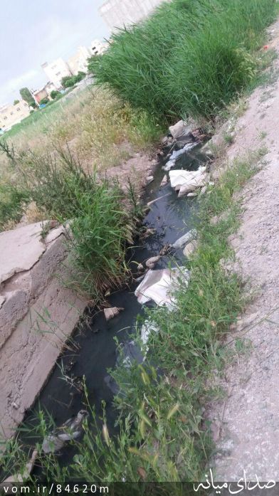 تصویر مرتضی رشیدی