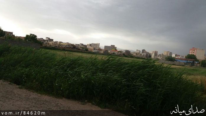 تصویر مرتضی رشیدی