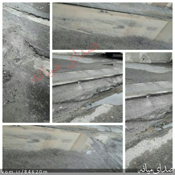 تصویر مرتضی رشیدی