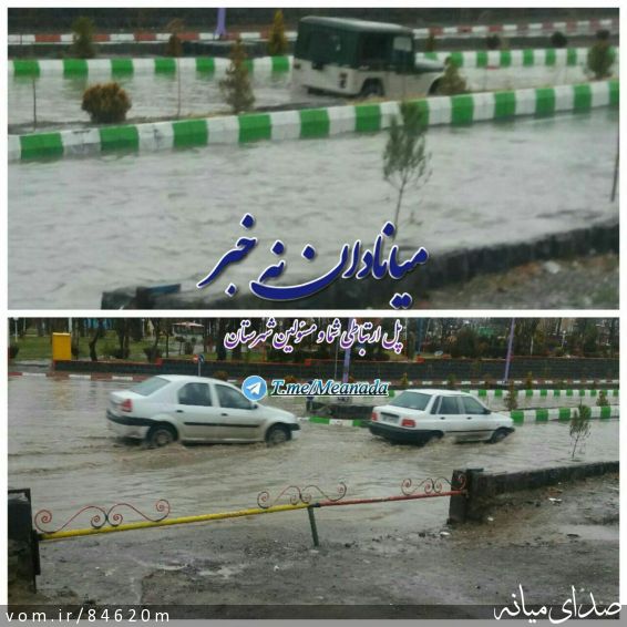 تصویر مرتضی رشیدی