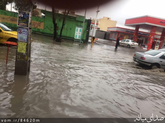 تصویر مرتضی رشیدی