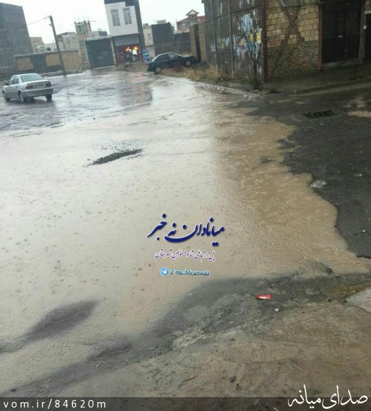 تصویر مرتضی رشیدی