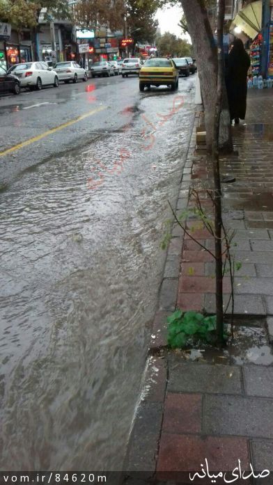 تصویر مرتضی رشیدی