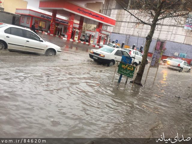 تصویر مرتضی رشیدی