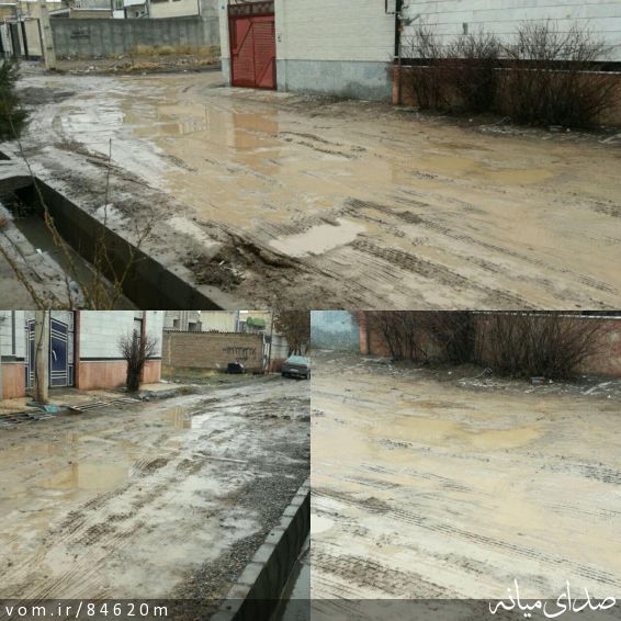 تصویر مرتضی رشیدی