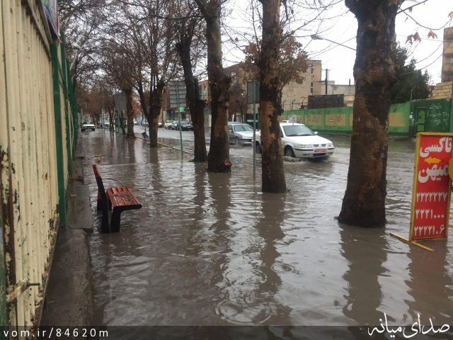 تصویر مرتضی رشیدی