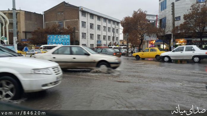تصویر مرتضی رشیدی