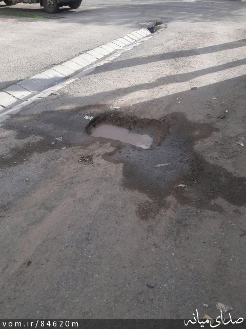 تصویر مرتضی رشیدی