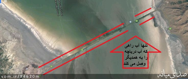 تصویر مرتضی رشیدی