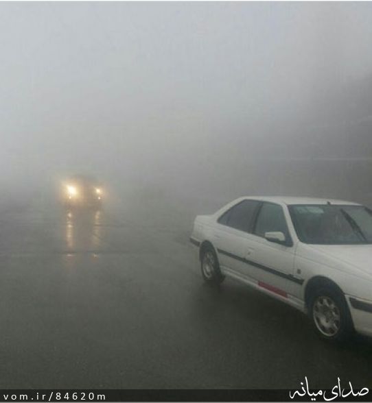تصویر مرتضی رشیدی