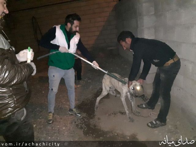 تصویر روابط عمومی شهرداری آچاچی