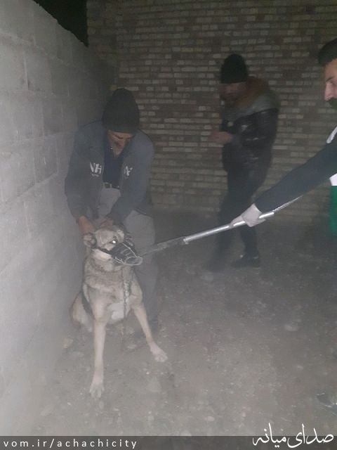 تصویر روابط عمومی شهرداری آچاچی