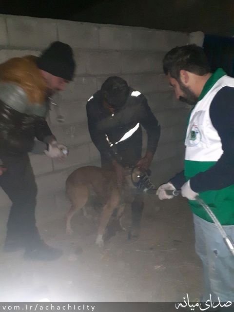 تصویر روابط عمومی شهرداری آچاچی