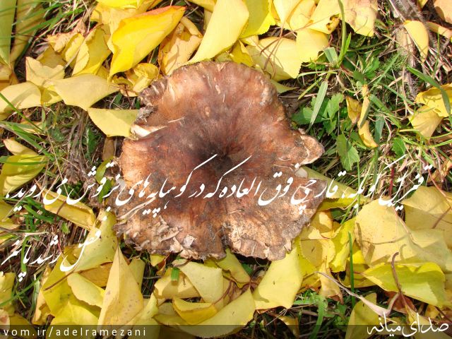 تصویر عادل رمضانی