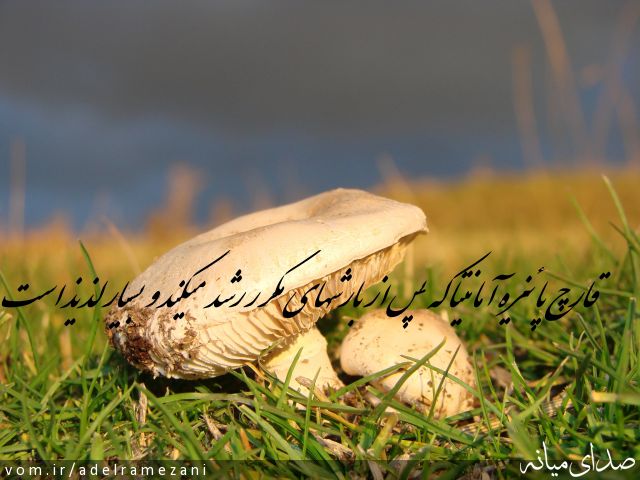 تصویر عادل رمضانی