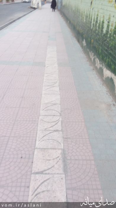 تصویر موسی اصلانی