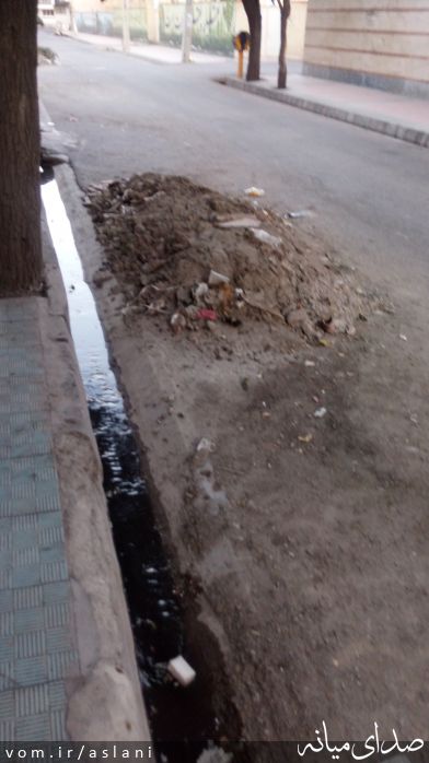 تصویر موسی اصلانی