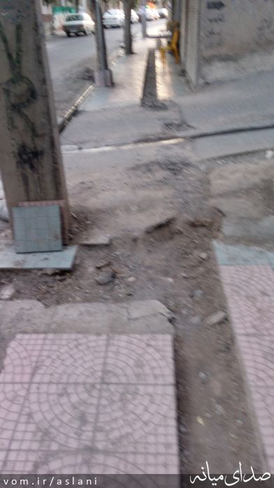 تصویر موسی اصلانی