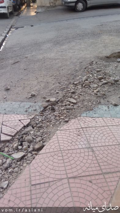تصویر موسی اصلانی