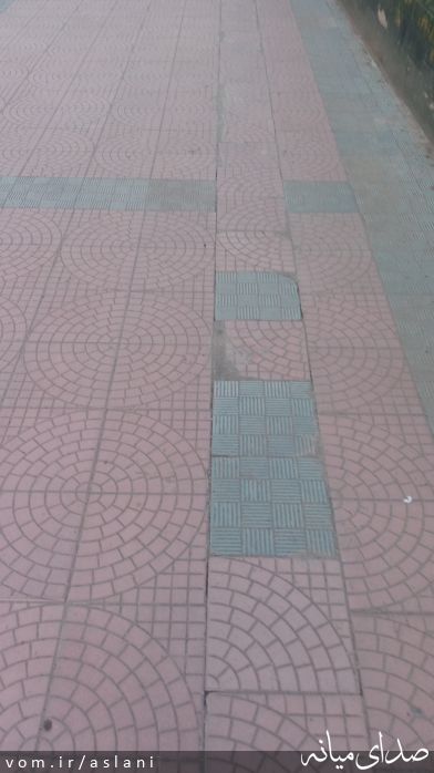 تصویر موسی اصلانی